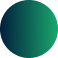 circle icon
