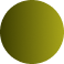 circle icon